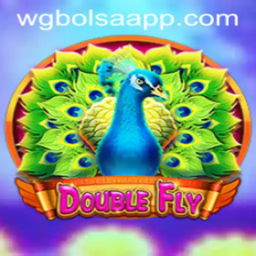 Exploring the World of DoubleFly: A Comprehensive Guide with WG-Bolsa Insights